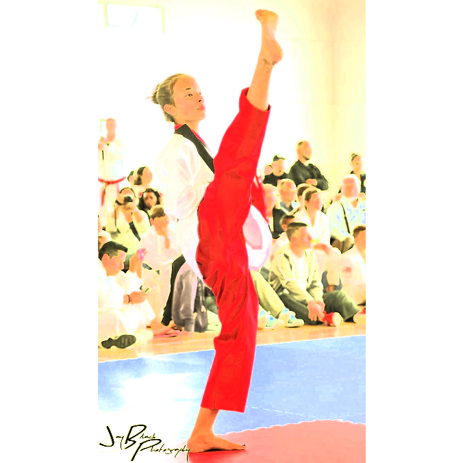 Shiba Taekwondo student kicking